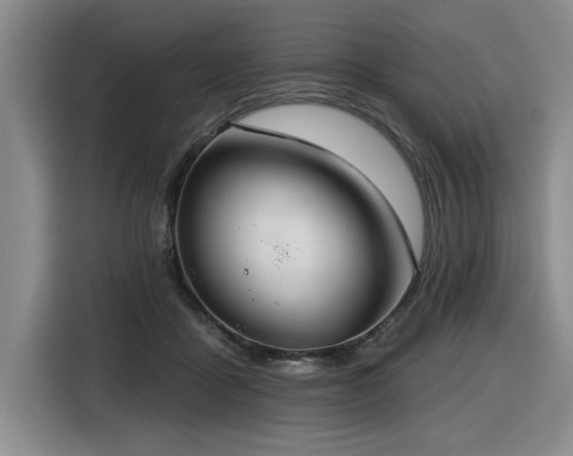 X0000116630411200912111221