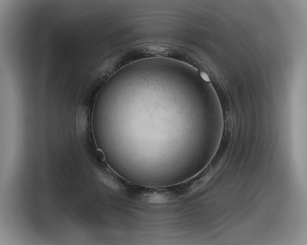 X0000116630412200912111221