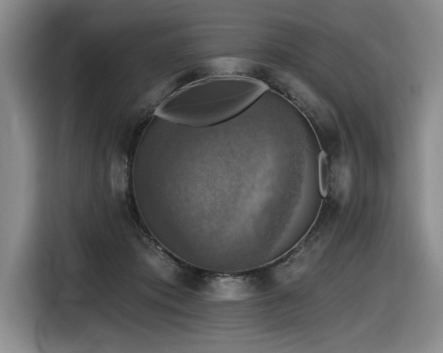 X0000116630413200912111221