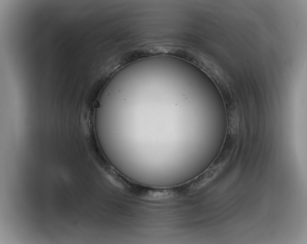 X0000116630414200912111221