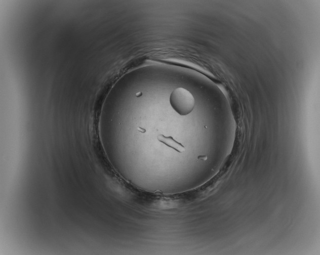 X0000116630416200912111221