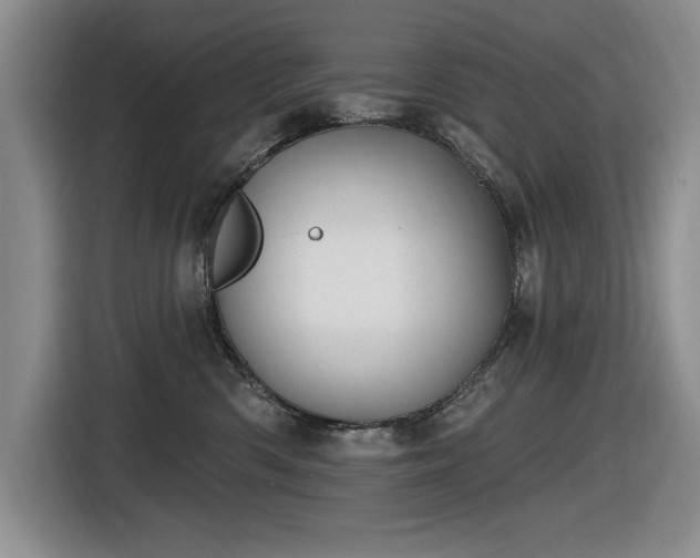 X0000116630426200912111220