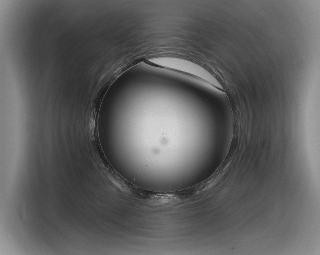 X0000116630427200912111220