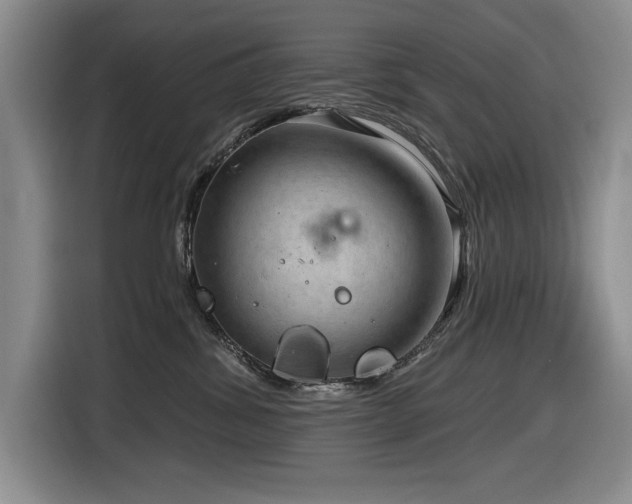 X0000116630428200912111220