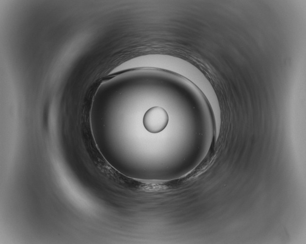 X0000116630429200912111220