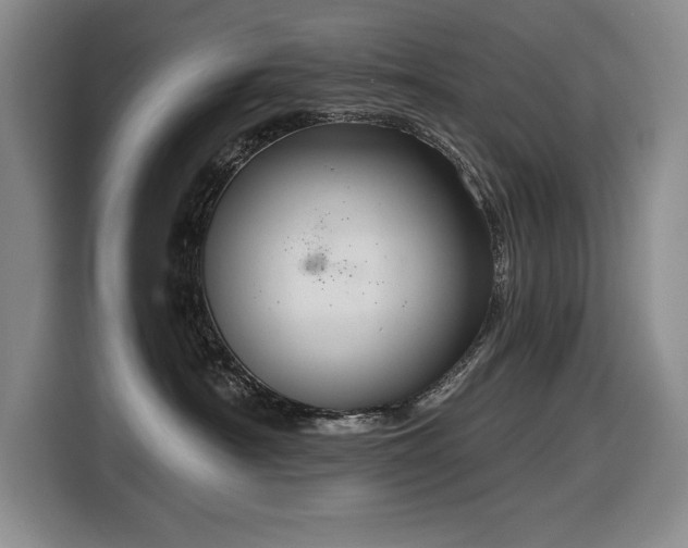 X0000116630430200912111220