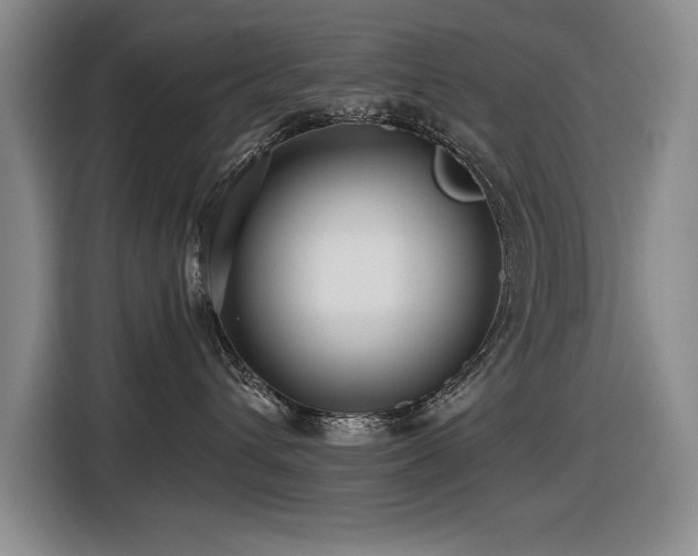 X0000116630432200912111220