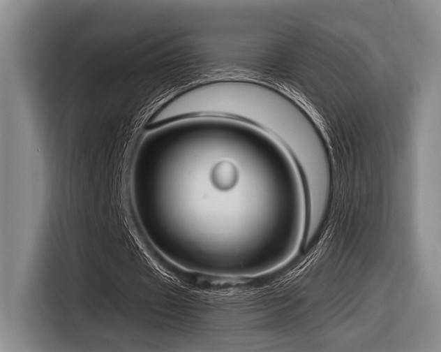 X0000116630433200912111220