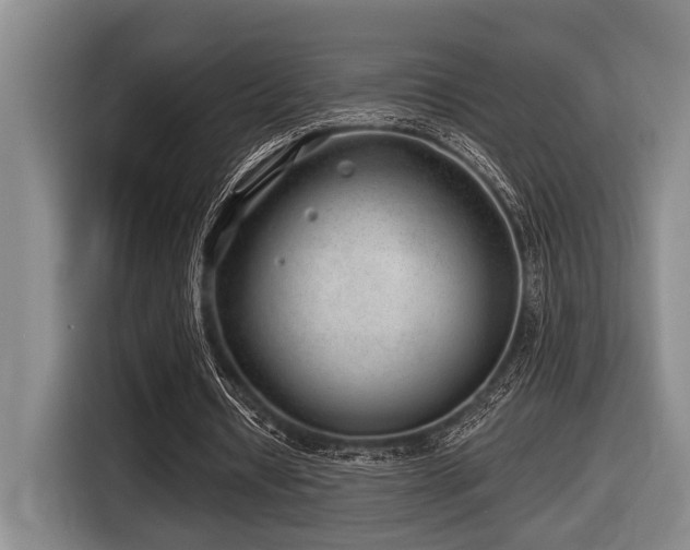 X0000116630434200912111220