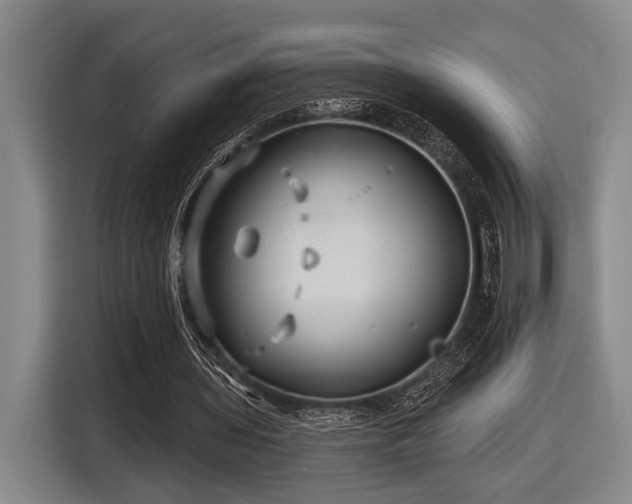 X0000116630435200912111220