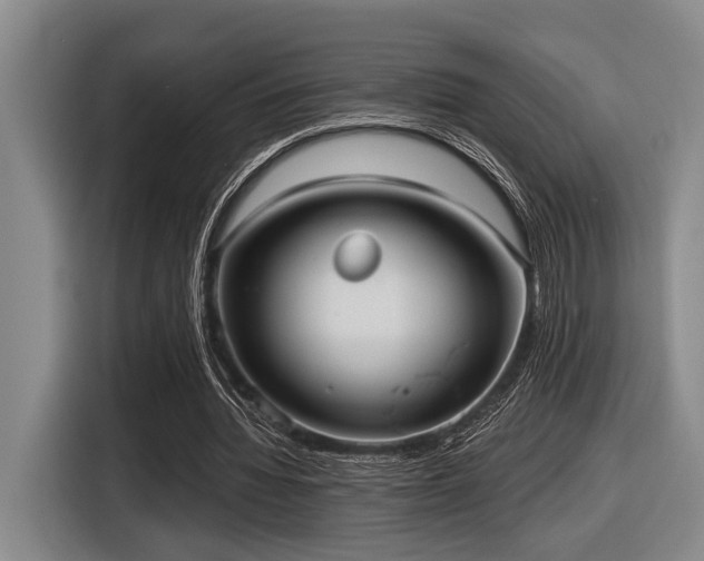 X0000116630436200912111220