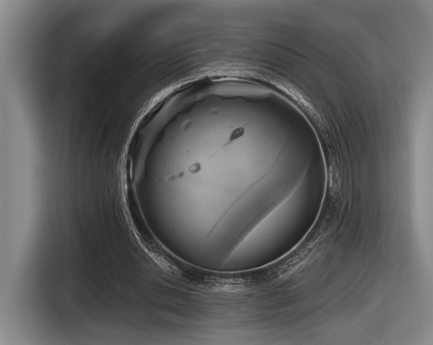 X0000116630438200912111220