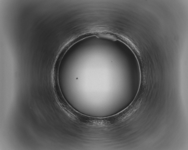 X0000116630439200912111220