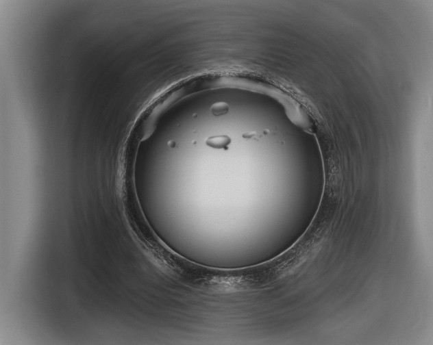 X0000116630440200912111220