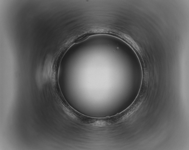 X0000116630441200912111220