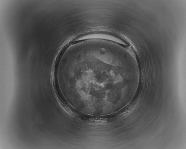 X0000116630443200912111220