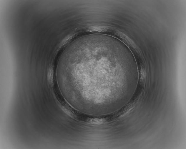 X0000116630444200912111220