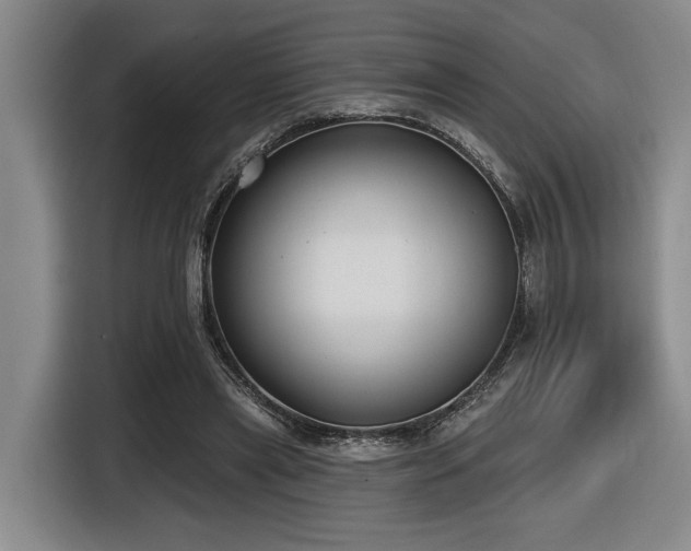 X0000116630445200912111220