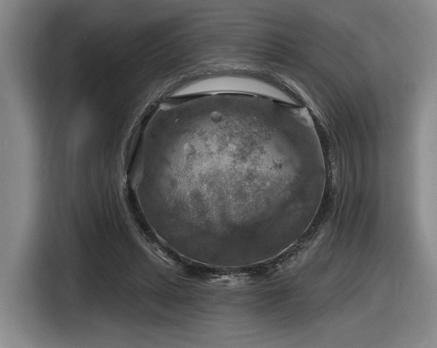 X0000116630447200912111220