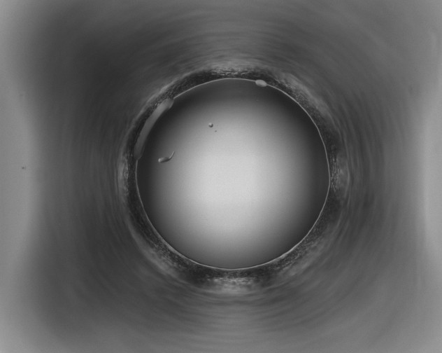 X0000116630448200912111220