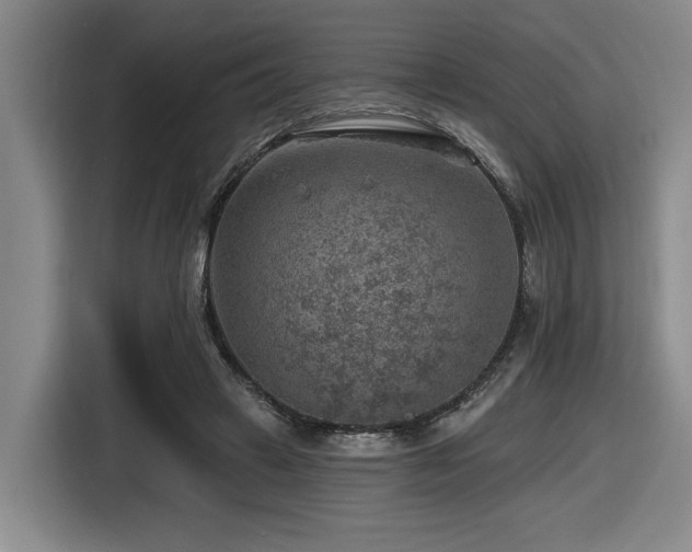 X0000116630449200912111220