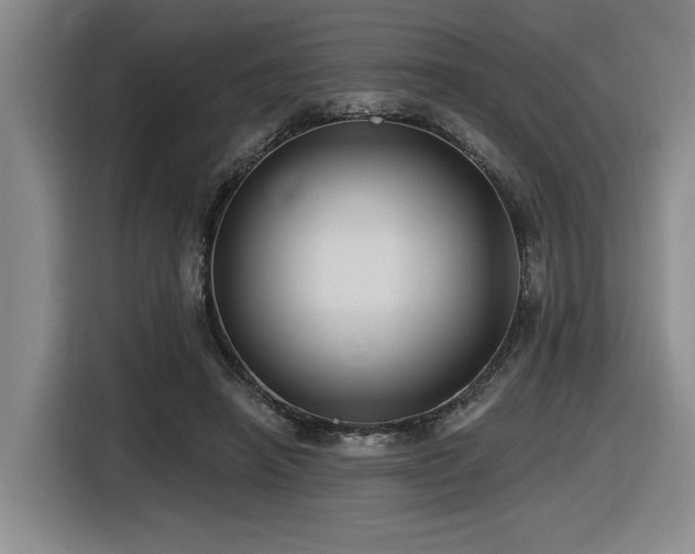 X0000116630450200912111220