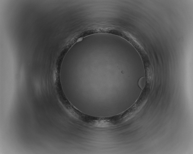 X0000116630451200912111220