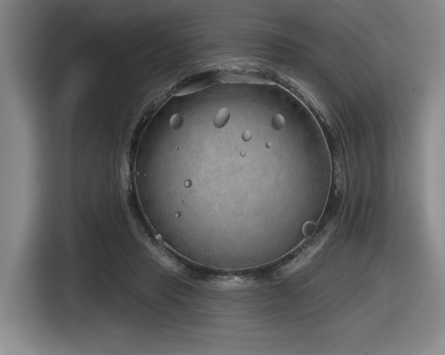 X0000116630453200912111220