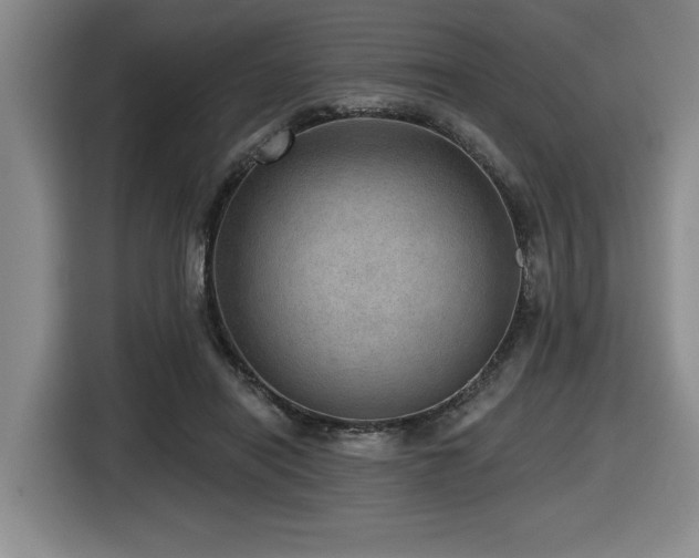 X0000116630454200912111220