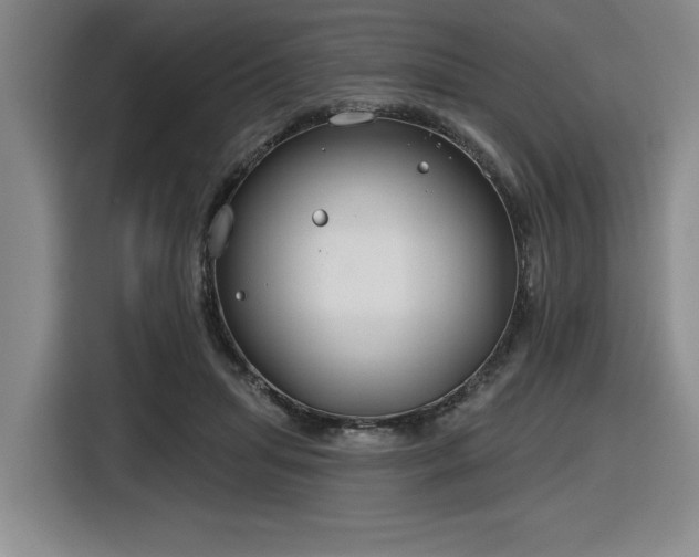 X0000116630455200912111220