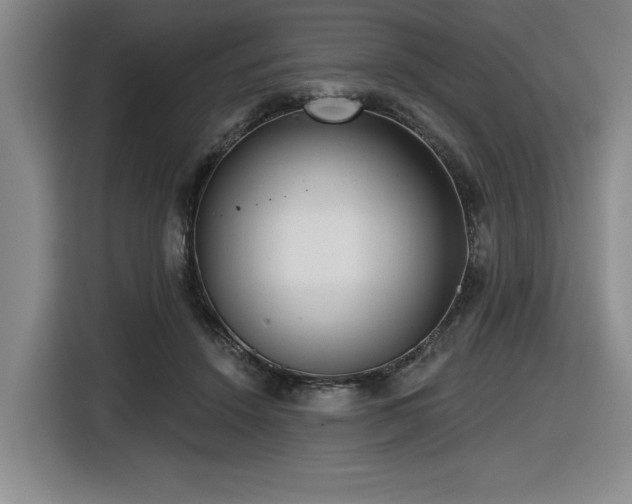 X0000116630456200912111220