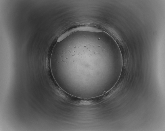 X0000116630457200912111220