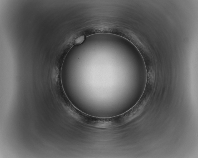 X0000116630458200912111220