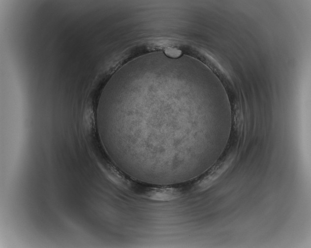 X0000116630459200912111220