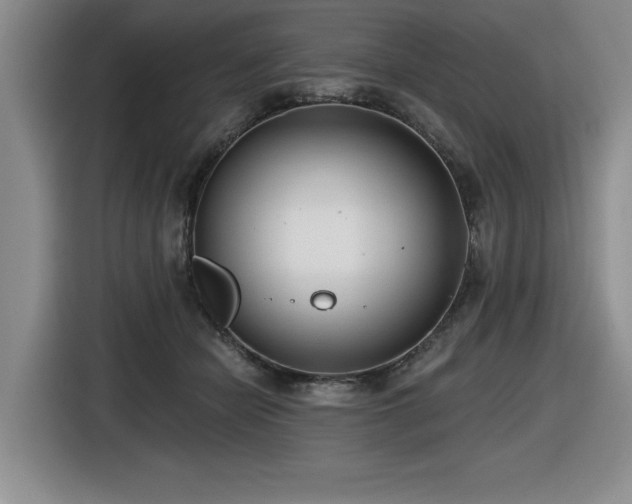 X0000116630462200912111220