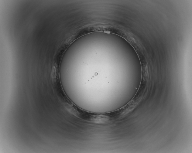 X0000116630463200912111220