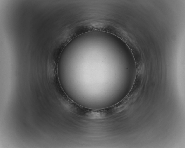 X0000116630464200912111220