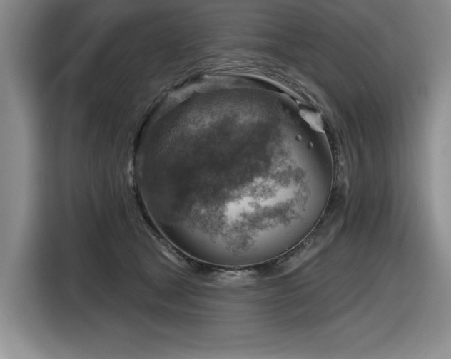 X0000116630465200912111220