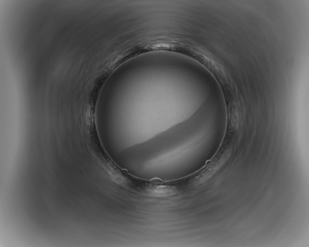 X0000116630467200912111220