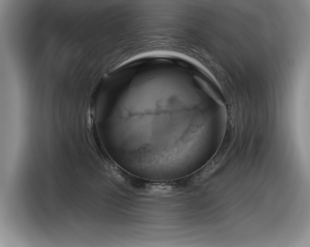 X0000116630471200912111220