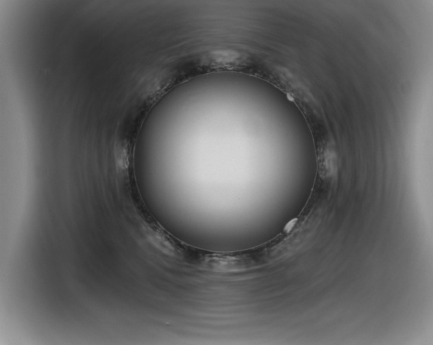 X0000116630472200912111220