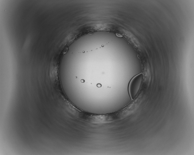 X0000116630473200912111220