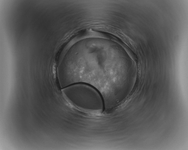 X0000116630475200912111220