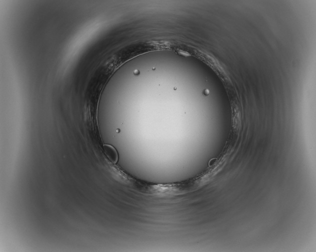 X0000116630477200912111220