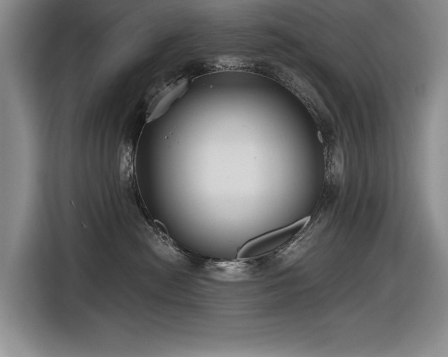 X0000116630478200912111220