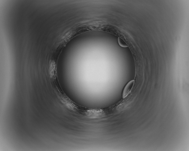 X0000116630480200912111220