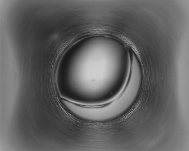 X0000116630481200912111220