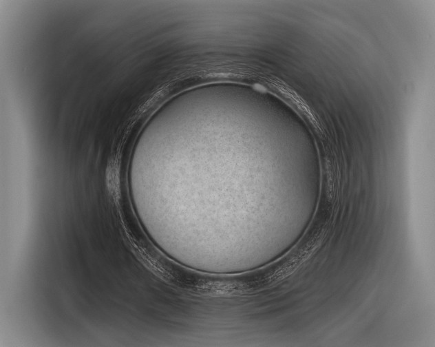 X0000116630482200912111220