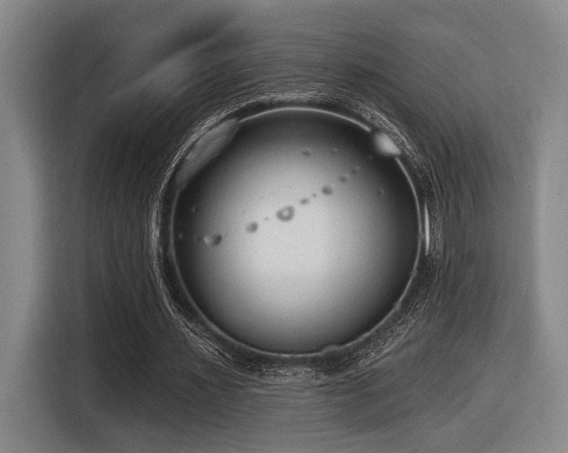 X0000116630483200912111220