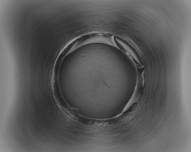 X0000116630484200912111220